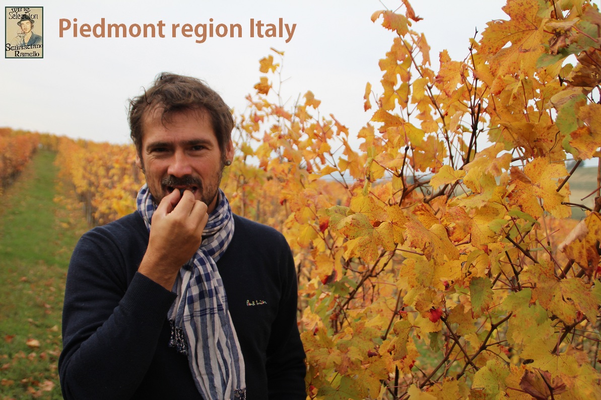 Piedmont Wine Travel for business