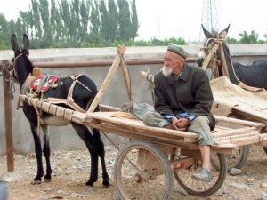 seta15m Kashgar uomo