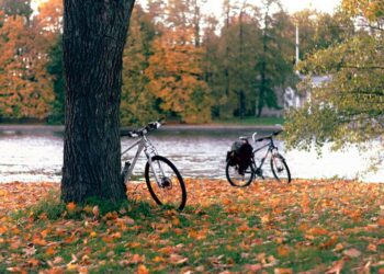 Il cicloturismo: una nuova opportunità di business per il mondo dell’hotellerie