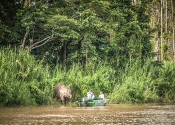 Malaysia che ammalia