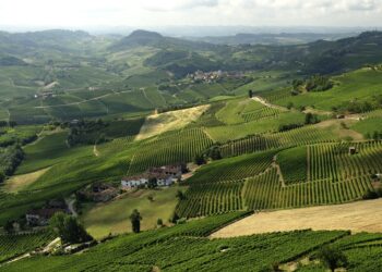 La Morra (CN) conquista la Top 100 delle Città Gastronomiche Mondiali