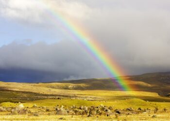 L’Ecuador trionfa a FITUR 2024: miglior padiglione internazionale