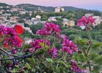 Fiuggi. Oltre l’Acqua