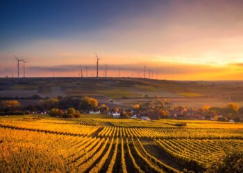 Sostenibilità nel turismo: per il 78% degli italiani è importante