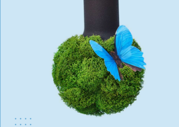 AlmaTravel, pioniera della sostenibilità: un esempio virtuoso per il turismo