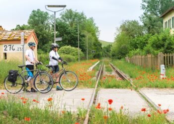 Intermobility Future Ways: il forum della mobilità condivisa