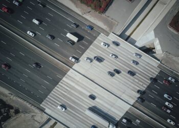 Mobilità on demand: come i servizi dinamici stanno ridefinendo gli spostamenti