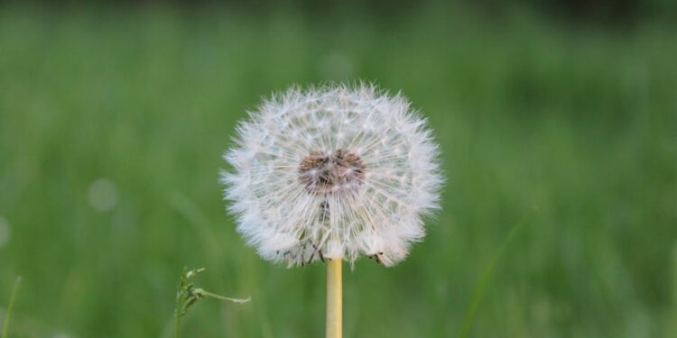 L’Europa si muove verso uno standard unico per le emissioni dei trasporti: un passo strategico per competitività e sostenibilità