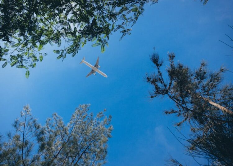 Sostenibilità nel Trasporto Aereo: stato dell’arte e prospettive