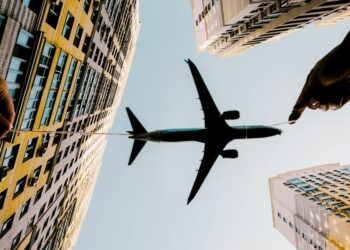 mercato dei Travel Management Systems