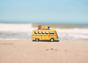 travel manager vanno in vacanza
